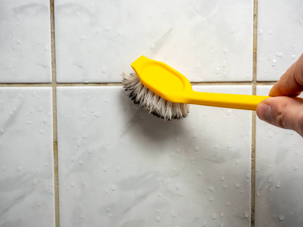Best Residential Mold Removal  in Whitesboro, TX